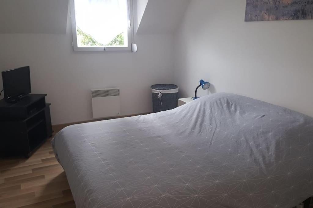 Logement Plein Centre De Plerin A Proximite Des Plages Et Des Commerces Kültér fotó